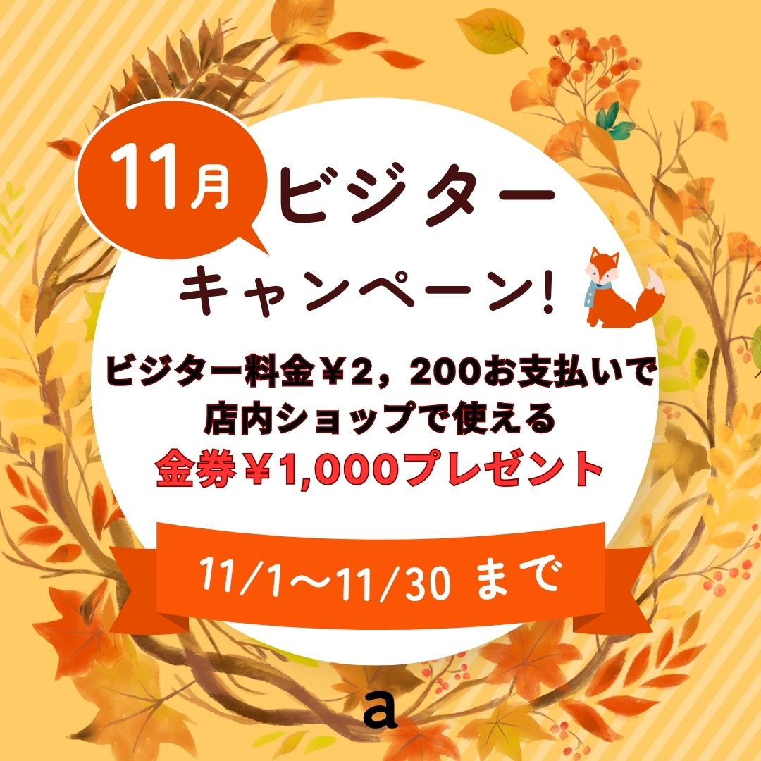 １１月のビジターキャンペーン！！
